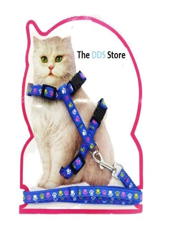 THE DDS STORE طوق ومقود قابل للتعديل للمشي مع القطط من متجر DDS، مصنوع من النايلون، مقاوم للهروب (لون أزرق). - Image 2